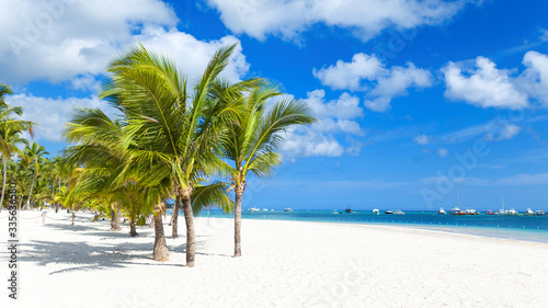 Beach on a tropical island with white sand and coconut trees. Yachts and boats off the coast of the Atlantic Ocean. Popular tourist destination for holidays Punta Cana. beautiful caribbean background.