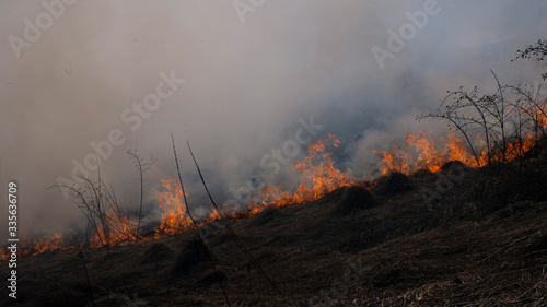 Fire in the mountains and field © HAOS