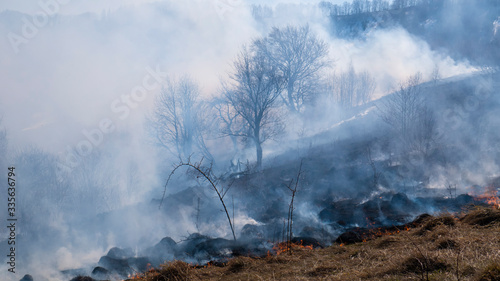 Fire in the mountains and field © HAOS