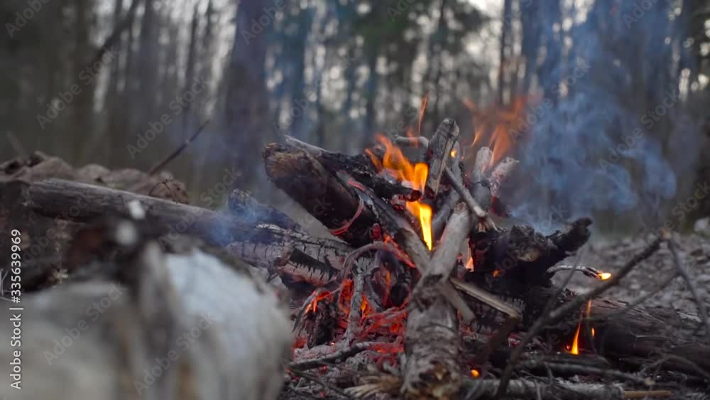Bonfire close-up. Flame of fire in slow motion.
Bonfire close-up. Flame of fire in slow motion.