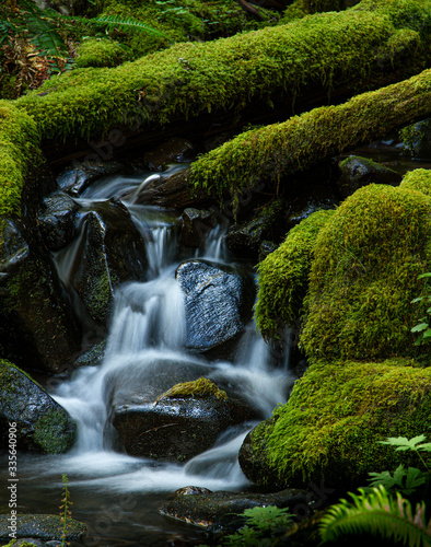 Water slowly falls over moss covered rocks