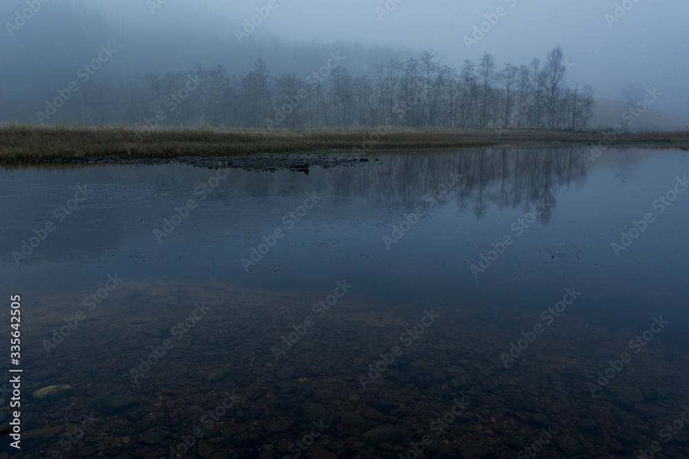 fog on the lake with forest fog on the lake with forest