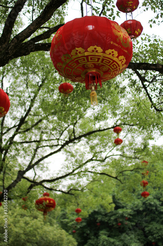 Chinese Lampoons hanging from a tree in 