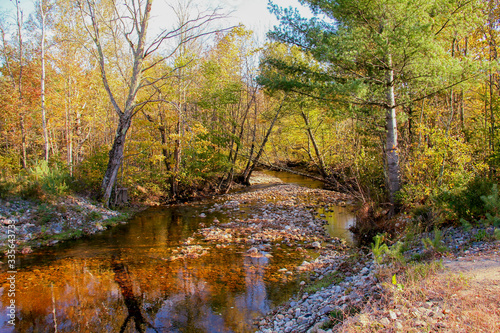 A rocky creek bed winding through the autumn forest.