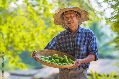 Asian man Senior Farmer with lemon green,Asian man farmer on empty copy space