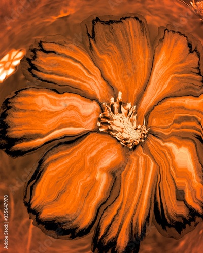 Drawing of an abstract orange flower close-up