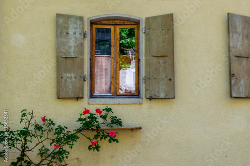 Single window and roses on yellow wall