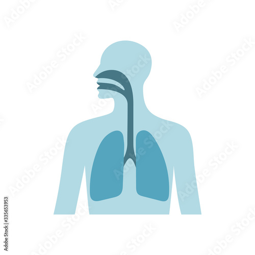 Human lungs vector flat illustration. Male chest silhouette isolated on white background. Coronavirus concept.