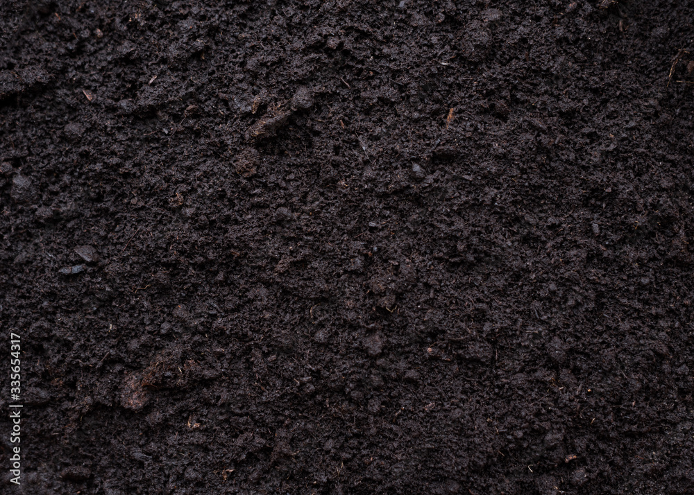 Texture of raw earth in the garden. Texture of raw earth in the garden.