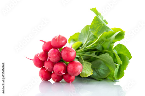 Fresh red organic radishes on white background