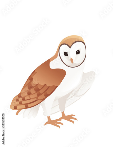 Cute barn owl (tyto alba) with white face and brown wings cartoon wild forest bird animal design flat vector illustration isolated on white background