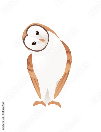 Cute barn owl (tyto alba) with white face and brown wings cartoon wild forest bird animal design flat vector illustration isolated on white background