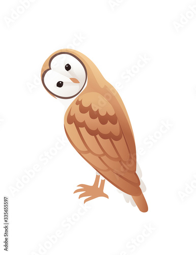 Cute barn owl (tyto alba) with white face and brown wings cartoon wild forest bird animal design flat vector illustration isolated on white background