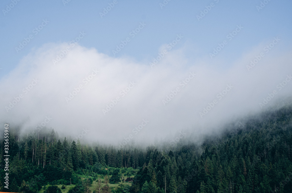 Mountains in the fog, forest and mountain trees Mountains in the fog, forest and mountain trees