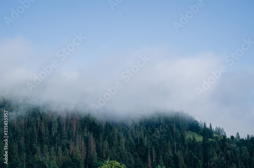 Mountains in the fog, forest and mountain trees