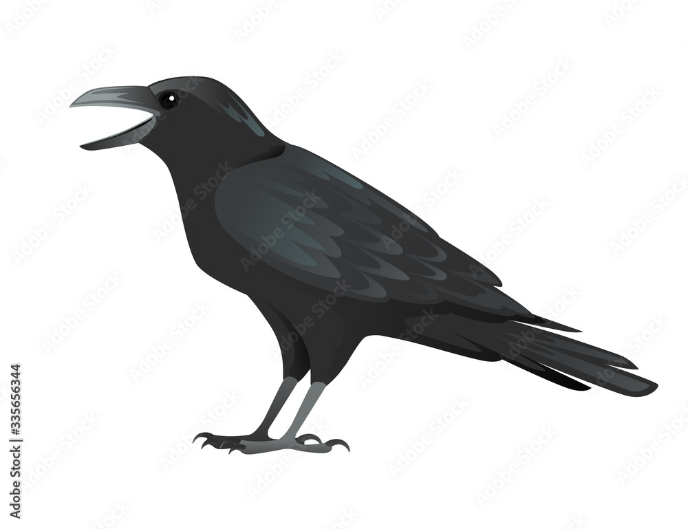 Fototapeta premium Black raven bird cartoon crow design flat vector animal illustration isolated on white background