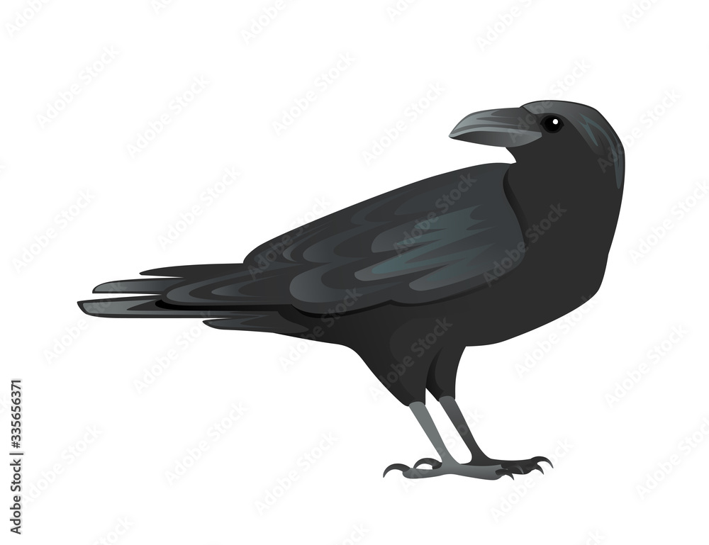 Black raven bird cartoon crow design flat vector animal illustration  isolated on white background Stock Vector | Adobe Stock