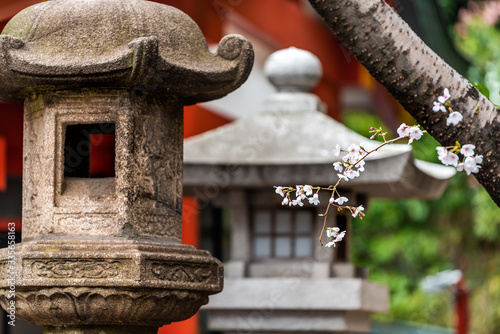 Tokyo, Japan Hie shinto temple shrine with stone lantern closeup and cherry tree branch sakura flowers in springs with blurry background in garden and nobody photo