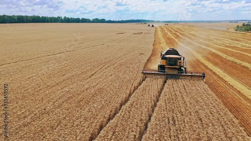 Harvester on wheat field. Industrial footage on agricultural theme. Combine harvester on the yellow field under the blue sky. Harvesting crop in summer.