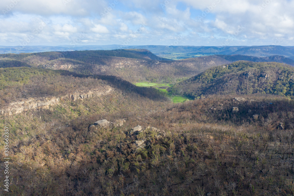 Fototapeta premium A forest valley affected by bush fire in The Blue Mountains in Australia