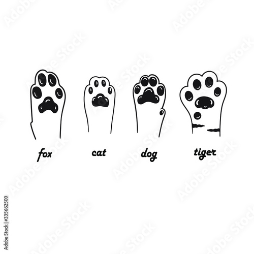Animal paws isolated on white background.Pets, hello. Fox, dog, cat, tiger. Black and white Vector illustration.