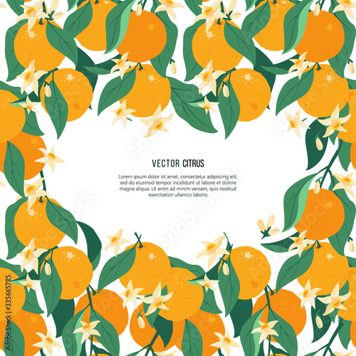 Greeting invitation card with tropical fruits. Citrus Floral vector frame with orange fruits, leaves and flowers pattern. 