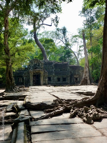 Ruins of Angkor, temple of Ta Prohm with interesting trees, Angkor Wat, Cambodia