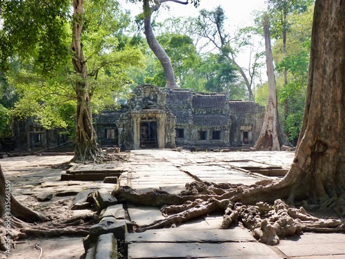 Ruins of Angkor, temple of Ta Prohm with tree roots, Angkor Wat, Cambodia