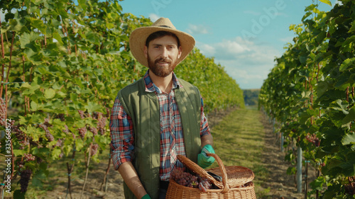 Photography Portrait of handsome italian winemaker in farmer hat smiling with pride holding basket with fresh grapes collecting fruit on harvesting vineyard