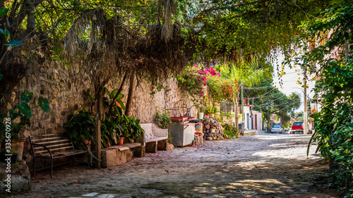Trees and vines arch over an old cobblestone street with some makeshift benches and potted plants in Ajijic Mexico photo