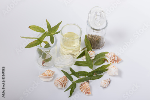 Bodegón de aceite y finas hierbas. Cedro con aceite de oliva y hojas secas de orégano, en tres frascos de vidrio.