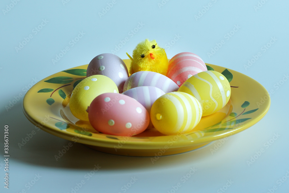 Easter colorful eggs and yellow chicken in a plate.
