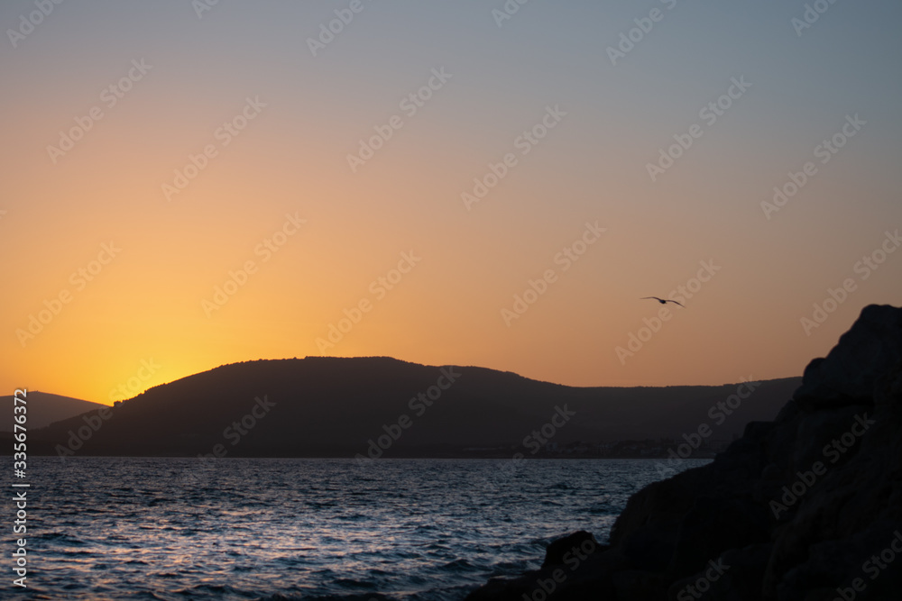 Seagull flying over Alghero shore at sunset