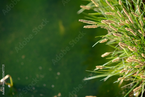 프리젠테이션 ppt 배경