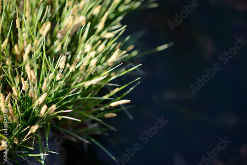 프리젠테이션 ppt 배경