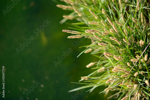 프리젠테이션 ppt 배경