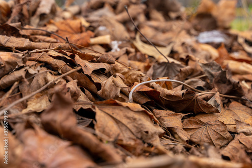 close up image of a pile of dry orange leaves