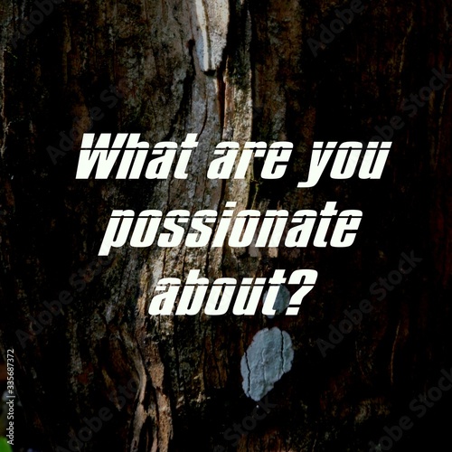 Inspirational quotes and motivations for success with natural scenery and texture backgrounds