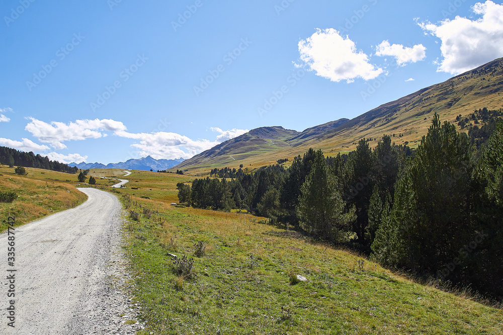 Camino Camino