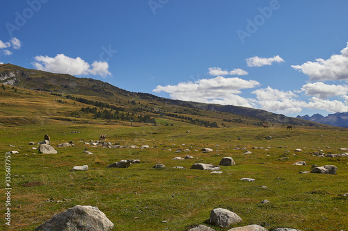 Bild auf Leinwand Paisaje