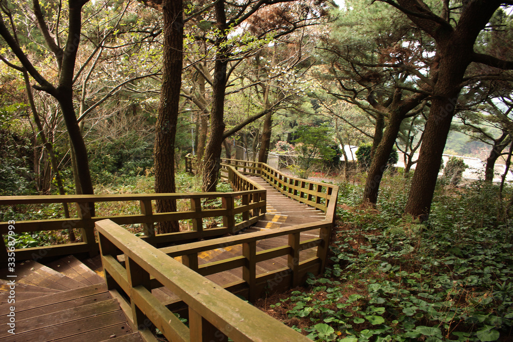 Jeju Olle Trail Route 7 : Beautiful Scenery of Jeju Island, Korea Jeju Olle Trail Route 7 : Beautiful Scenery of Jeju Island, Korea