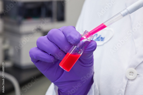 Scientist with Purple Latex Gloves works on scientific research vaccine using Dropper to Put Pink phosphorescent Liquid into Glass Vial