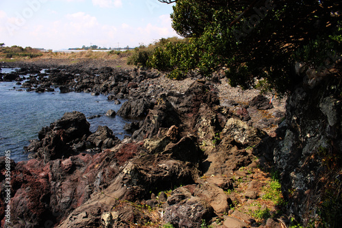 Jeju Olle Trail Route 7 : Beautiful Scenery of Jeju Island, Korea