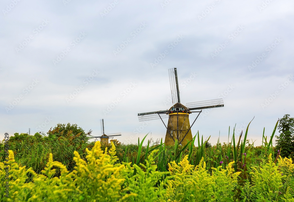 Dutch windmill in the spring in Holland