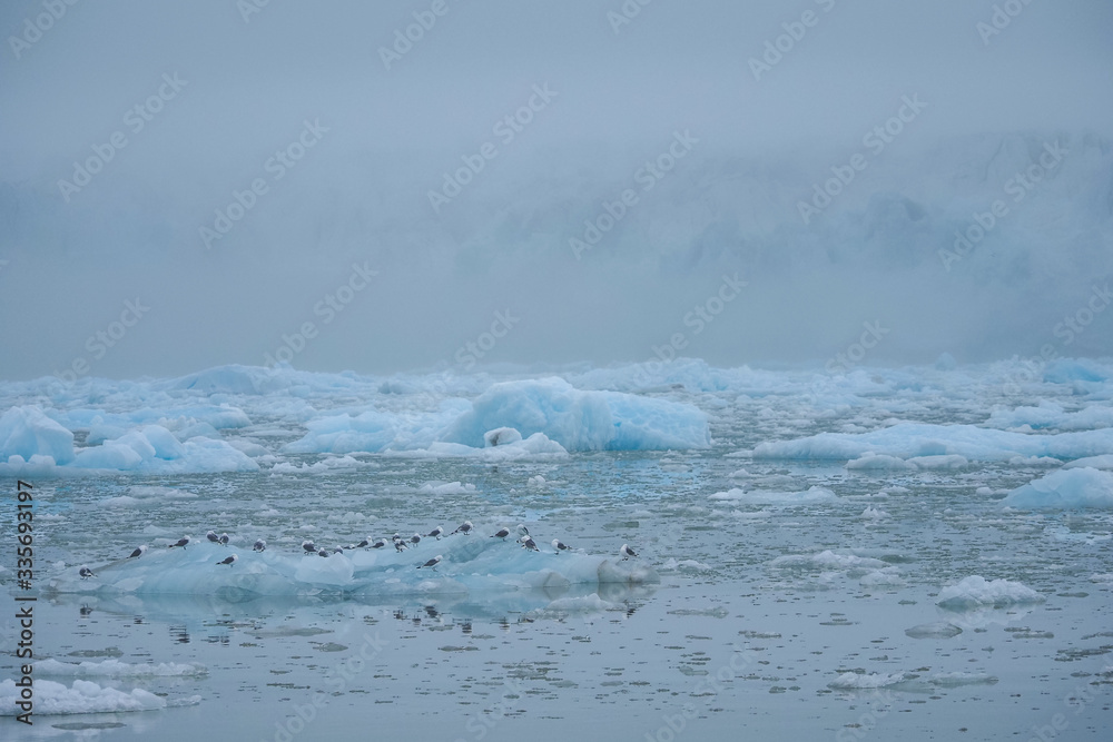 Front of deep blue glacier Spitsbergen, Svalbard, Norway, Europe Front of deep blue glacier Spitsbergen, Svalbard, Norway, Europe