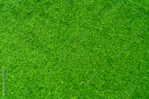Full frame of Artificial grass texture background. © BUDDEE