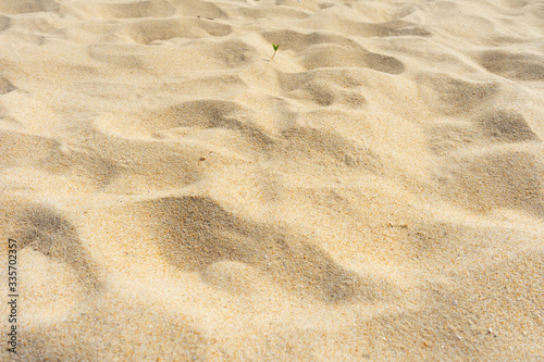 Background and texture  Top view of beach sand texture as background. sand in summer sun.