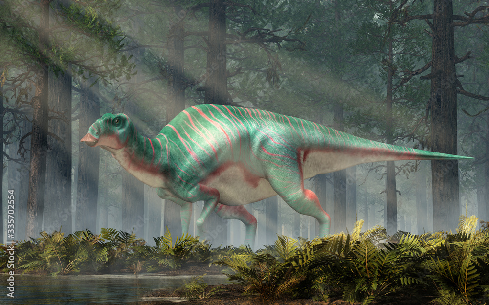 Maiasaura, a hadrosaur, in a rehistoric forest. This duck billed ...