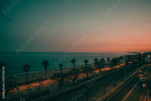 Palmeras en Arenys de mar, Barcelona, Cataluña al amanecer photo