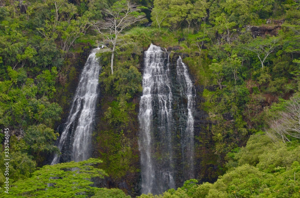 Fototapeta premium waterfall in the forest